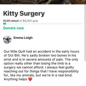 GoFundMe in description!